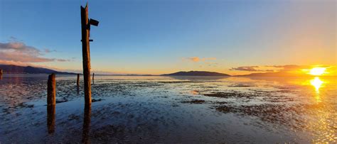 Visit Bellingham - Your Official Guide to Visiting Whatcom County