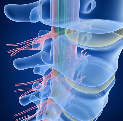 Pain in spinal cord indicator of major ailment
