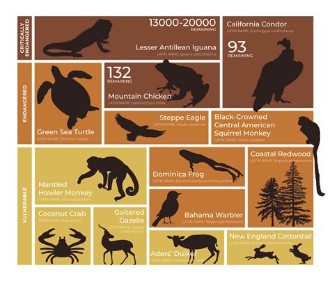 Endangered Species & Animal Conservation and Care | Preferred Hotels | Beyond Green