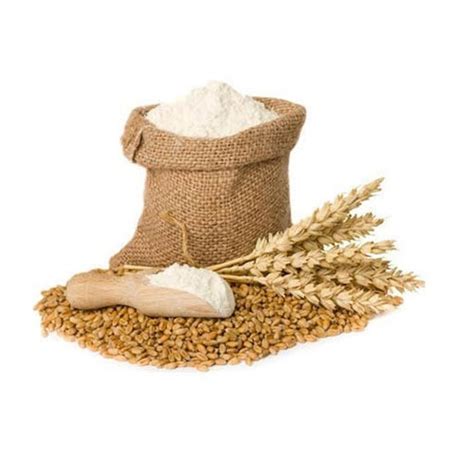 Wheat Protein Isolate - Wheat Starch and Natural Wheat Protein Isolate