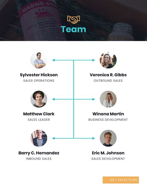 Image result for Sales Business Plan Examples