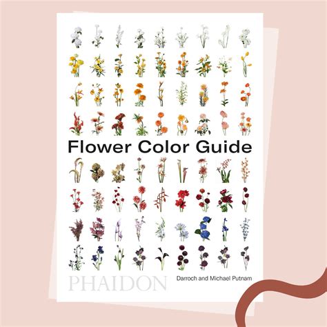 17 Best Wedding Planner Books for 2021 | Green Wedding Shoes