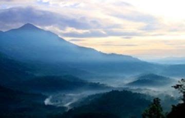 Heart-warming 4 Days Munnar Wildlife Trip Package | Munnar, Alappuzha ...