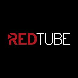 FireBounty Redtube Vulnerability Disclosure Program