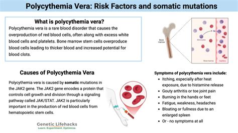 Polycythemia Vera: Understanding Inherited and Somatic Mutations behind This Rare Blood Disorder