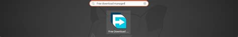 Free Download Manager Developer 的图像结果