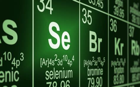 Image result for Selenium Java