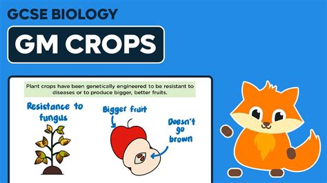 Genetic Modification 的图像结果