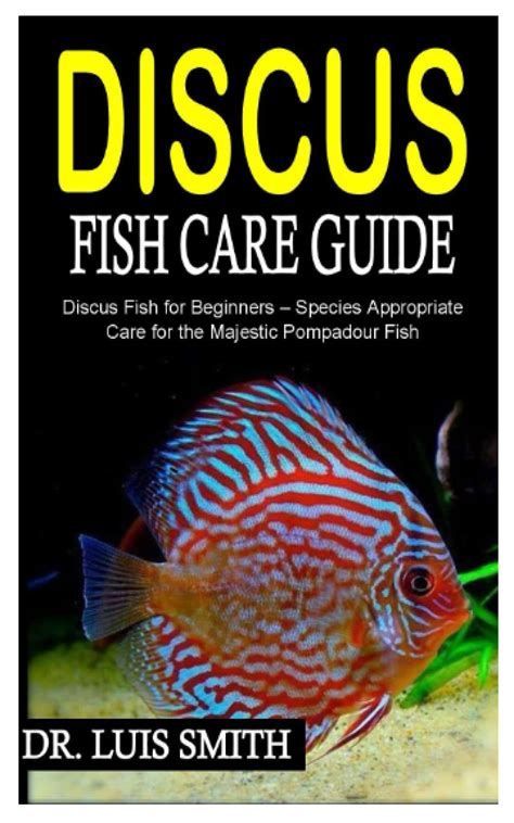 Image result for Discus Fish for Beginners