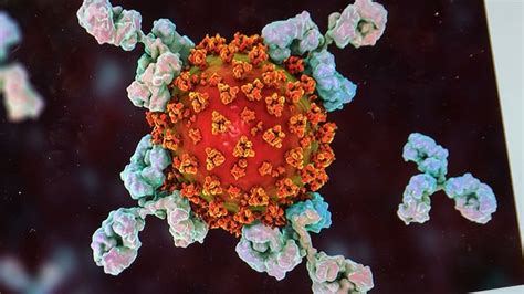 AZDHS: First case of UK COVID-19 variant detected in Arizona