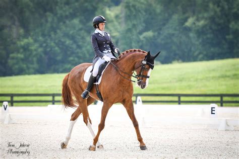 CDCTA Recognized Dressage Show - Great Meadow Foundation