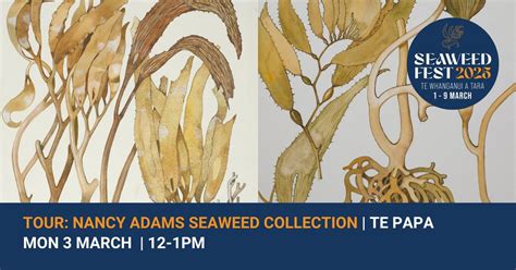 Te Papa Back of House Tour: Nancy Adams Seaweed Collection, Te Papa ...