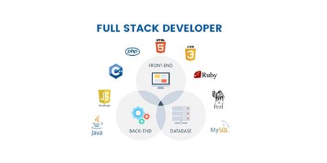 Who Is a Full Stack Developer 的图像结果