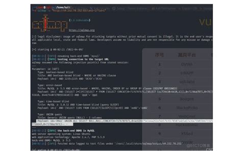 Sqlmap Tutorial Basics 的图像结果