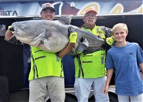 Giant catfish tops Wheeler Lake tournament - al.com