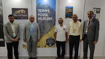 Tethys Fossil Museum - Home