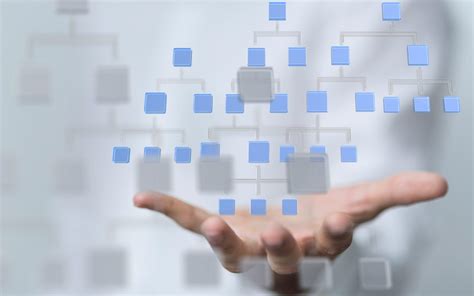 Organization Structure Team Unit 的图像结果