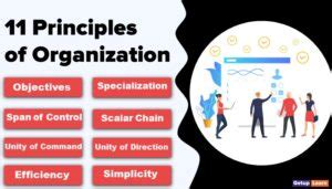 Image result for Organization development Principles