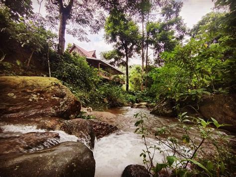Riverside Cottage In Darjeeling Offbeat Tabakoshi