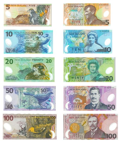 What Is New Zealand Currency Called at Isaac Perdriau blog