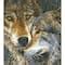 Diamond Dotz® Intermediate Muzzle Nuzzle Diamond Painting Kit | Michaels