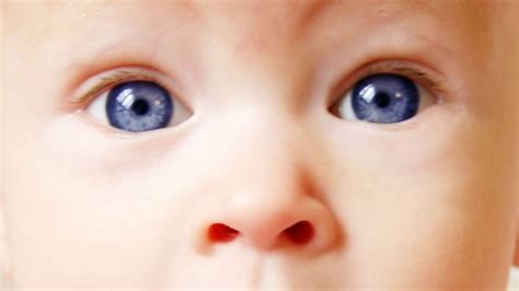What Color Will My Baby’s Eyes Be? In-Depth Guide | My Beautiful Adventures