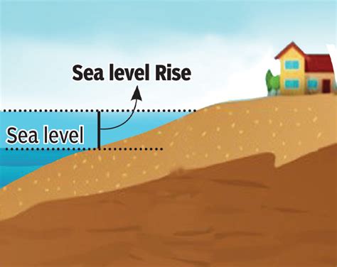 Chennai you won't see in five years - Times of India