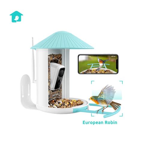 Bird Feeder Camera | Baby Monitor and Home Security Camera – netvue