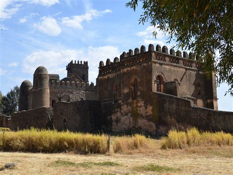 ELMI TOUR OPERATION PLC (2026) All You Need to Know BEFORE You Go (with ...