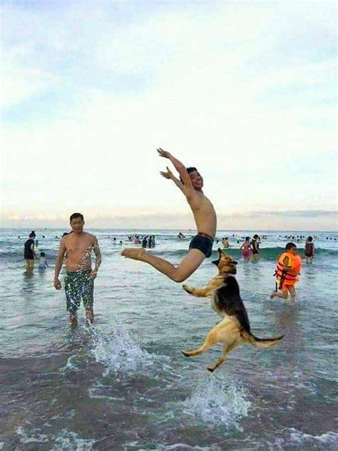 beach pictures gone too far
