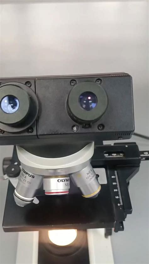 Image result for Lab Week Microscope