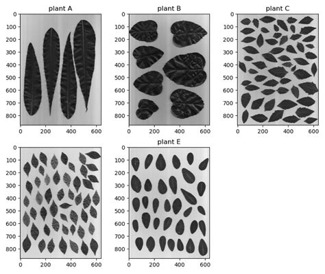 Image result for Image Processing Machine Learning Algorithms