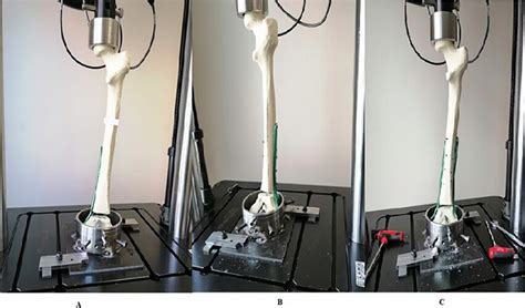 Axial Compression Test 的图像结果