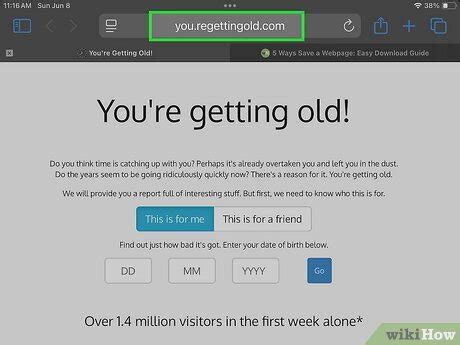 Image result for Saveweb2zip Tutorial