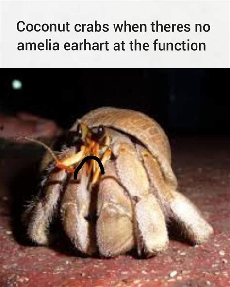 Coconut Crabs Ate Amelia Earhart at Madeleine Frayne blog