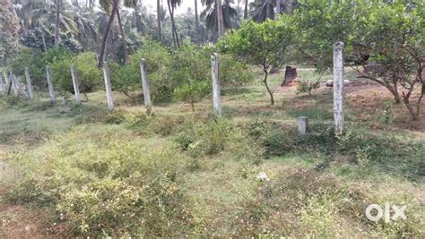 Good. Area - Lands & Plots - 1796083397