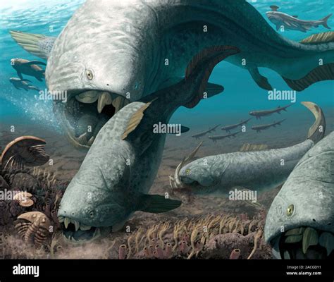 Late Devonian Extinction 的图像结果