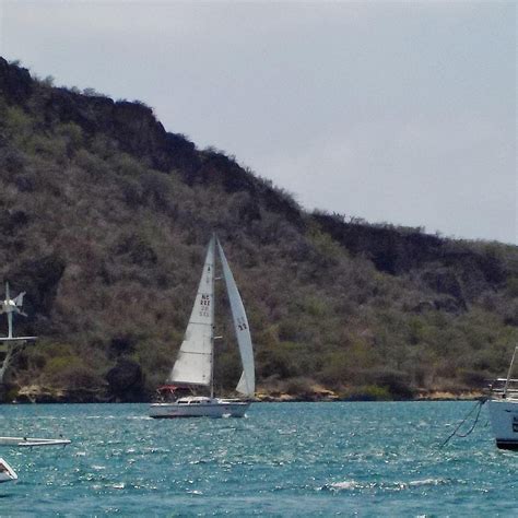 SEAMONKEY TOURS (2026) All You Need to Know BEFORE You Go (with Photos ...