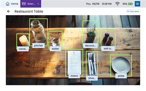 Image result for Visual Scene