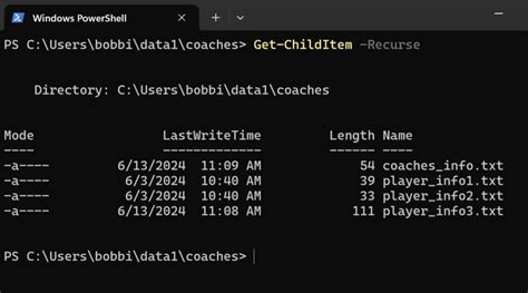 PowerShell Script Get List of Files and File Size in a Directory 的图像结果