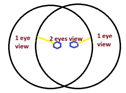 Image result for Human Vision Field of View