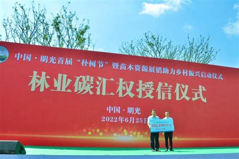 明光市发放全省首单林业碳汇权证质押贷款_滁州市林业局