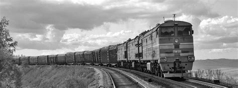 Image result for Transles