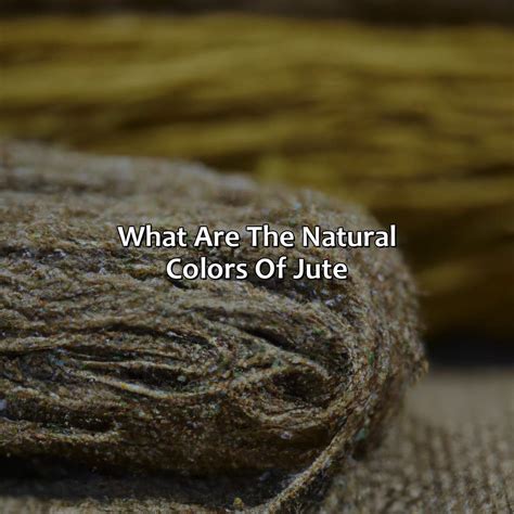 What Is Jute Explain at Humberto Salvatore blog