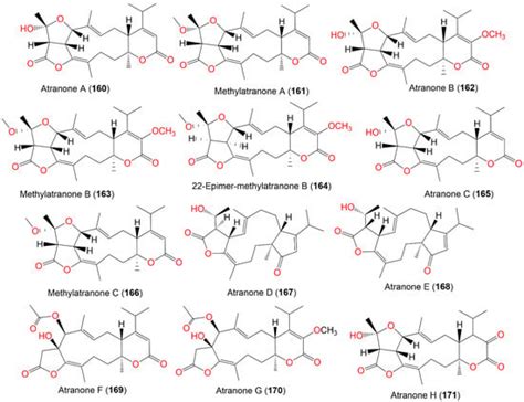 Stachybotrys chartarum—A Hidden Treasure: Secondary Metabolites ...