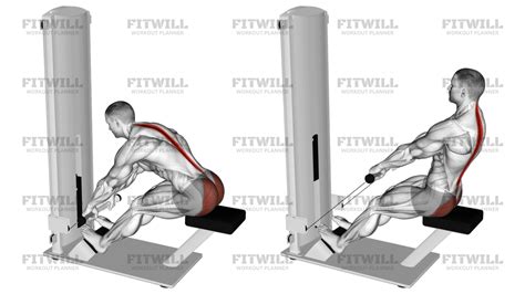 Lever Seated Good Morning: Exercise Guide, Techniques, Benefits, How to ...