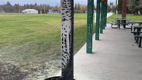 Ferndale WA police arrest juvenile suspect in park arson | Bellingham ...