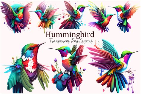 Hummingbirds Clipart Graphic by Colourful · Creative Fabrica