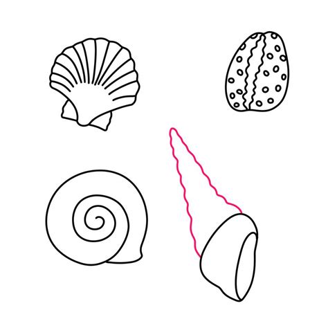 Shell Drawing 的图像结果