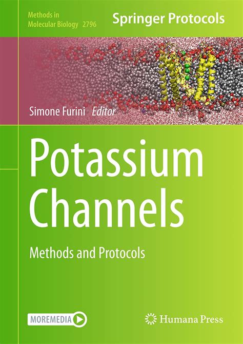 Buy Potassium Channels: Methods and Protocols: 2796 (Methods in ...
